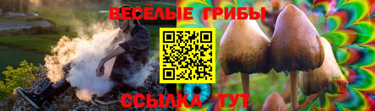 Псилоцибиновые грибы Magic Shrooms Избербаш