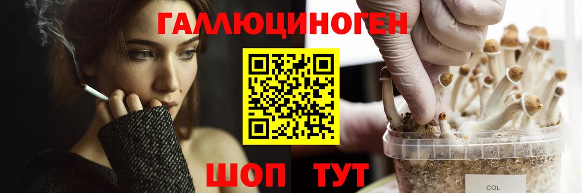 Псилоцибиновые грибы ЛСД  Псилоцибиновые грибы мухоморы  Вход с VPN  где можно купить   Избербаш 